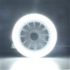 Pilipane Ventilatore da Soffitto Silenzioso Piccolo E27 30W Lampada a Ventola a LED Regolabile Silenziosa,Plafoniera a LED con Ventilatore, Piccola Lampada a Ventola Elettrica, Illuminazione Moderna a Ventola