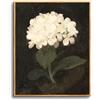 hyidecorart Quadro con Cornice Fiori Vintage Soggiorno Corridoio 20x25 cm | Arte Retro, Stampa HD, Facile da Appendere, Montaggio Rapido, Per Molte Stanze, Decorazione Murale, Regalo, Piccolo Formato