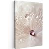 MuchoWow© Quadro Moderno Soggiorno Decorazioni Da Parete Quadri Su Tela Da | 20x30 cm - Salotto Grandi Foto Con Cornice Stampe Su Tela Camera Da Letto Fiore - Astratto - Bianco - Acqua - Natura