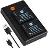 DSTE 2PCS DMW-BLE9 DMW-BLE9E Batteria & Caricatore Compatibile per Panasonic Lumix DMC-GF3,DMC-GF3GK,DMC-GF5,DMC-GF6,DMC-LX100