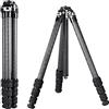 SUNWAYFOTO T2841CE Viaggio Treppiede In Fibra di Carbonio Luce Compatta Portatile Professionale Fotocamera DSLR Impermeabile, 15 kg Carico