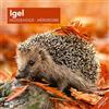 Ackermann Kunstverlag Igel Broschürenkalender 2026 - 30x30 - Art12 | Bildstarker Tier-Kalender im schlanken Hochformat (aufgeklappt 30x60 cm) | mit Eintrage-Kalendarium