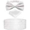 Alizeal Mens Classic Paisley Autosciogliente Leggiletto a fiocco regolabile, Cummerbund e Pocket Square Set