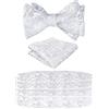 Alizeal Mens Classic Paisley Autosciogliente Leggiletto a fiocco regolabile, Cummerbund e Pocket Square Set
