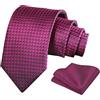 Alizeal Cravatta da uomo tinta unita e fazzoletto quadrato per affari, formale, classico, elegante, a quadri, cravatta e fazzoletto