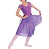 HOEREV Donna Sheer Pannello Esterno dell'involucro Balletto Balletto Gonna Danza Dancewear