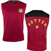 Cinereplicas Harry Potter - DREI-Zauberer-Turnier-Top - Cedric Diggory und Harry Potter - XS/S/M/L - Offiziell lizenziert