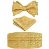 Alizeal Mens Classic Paisley Autosciogliente Leggiletto a fiocco regolabile, Cummerbund e Pocket Square Set