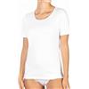 La Primula Verde Maglia Mezza Manica Donna Caldo Cotone Bianca, Cotone Felpato, T Shirt Basic Cotton Termica Donna Bianca, Made in Italy, Regular e Taglie Forti, dalla 3 alla 10