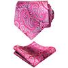 Alizeal Gradient Paisley Cravatta Floreale con Set Quadrato Tascabile