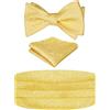 Alizeal Mens Classic Paisley Autosciogliente Leggiletto a fiocco regolabile, Cummerbund e Pocket Square Set