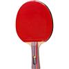 BEST SPORTING Best Sport da Racchetta da Tennis da Tavolo, Multicolore