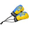 Générique Ornamento di Guanti da Boxe, Pendente Guanti da Boxe Ornamento di Sconto | Figur - Guantoni da boxe per auto in miniatura da collezione, decorazione per la casa, ufficio