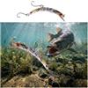 Generic Set di 5 esche da pesca curve a forma di pesciolino, micro dure con gancio singolo, per trota, spigola, pesce persico