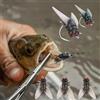 Generic 10 esche bioniche per la pesca a mosca, esche artificiali galleggianti, esche realistiche per la pesca a mosca