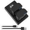 HOSAN DMW-BLF19 DMW-BLF19E HOSAN 2 Batteria di Ricambio da 2000mAh Compatibile con Serie Lumix DMC-GH3 DMC-GH3A DMC-GH3H DMC-GH4 DMC-GH4H DC-GH5 DC-GH5S DC-G9