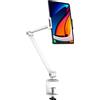 BEWISER Supporto da scrivania per tablet, supporto da tavolo per iPad, supporto portatile per monitor, in lega di alluminio, compatibile con telefoni con schermo da 4,7 a 15,6 pollici, Kindle, Fire