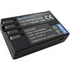 Dot.Foto D-LI109 Premium Alta Capacità 7.4v / 1250mAh Batteria Ricaricabile per Pentax KP, K-30, K-50, K-70, K-500, K-r, K-S1, K-S2