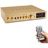 Ysislybin Amplificatore Audio Stereo, Audio Surround AV Hi-Fi Ricevitore Stereo Amp | 600 W Picco 2 Ingressi Microfono Home Theater Altoparlante Auto W/Mic USB FM Radio USB 298BT