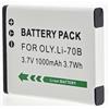 Otech Batteria Compatibile per Olympus LI-70B