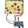 VSDISPLAY 10,4 pollici 1024x768 4:3 IPS schermo LCD,tipo C USB LVDs Board | con fori di posizione, per display di ricambio industriale/Retro Video Gaming Monitor