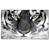Silent Monsters Tappetino Mouse 24 x 20 cm piccolo, Tigre, con Bordo Cucito, Durevoli, antiscivolo e silenzioso, gioco, ufficio, casa, lavabile, arrotolabile, Tappetini per il Gaming Mousepad
