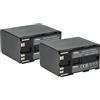 vhbw 2x batteria compatibile con Canon XF300, XF305, XF100, XF105 videocamera camcorder (6600mAh, 7,4V, Li-Ion)