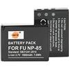 DSTE NP-85 Batteria ricaricabile agli ioni di litio (confezione da 2) Compatibile con Fujifilm FinePix S1 SL240 SL245 SL260 SL280 SL300 SL305 SL1000