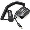 ZBLZGP Accoppiatore CC DMW-BLC12 tipo C DMW-DCC8 per fotocamera Panasonic Lumix DMC-GH2 DMC GH2H FZ200 G6 G5 G80 G85 G5K GH2K GH2S