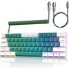 ZIYOU LANG T60 Tastiera da Gioco Cablata con Cavo USB C a Spirale, Compact 60% UK Layout(QWERTY), 19 Rainbow RGB LED Light Up Tastiera Meccanica Clicky Blue Switch Mini 62 Tasti per PC Mac - Verde