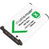 LOTUS POWER Batteria Ricambio NP BX1, Batteria ricaricabile agli Ioni di Litio da 1600 mAh NP-BX1 per Sony DSC-HX80, FDR-X3000R, DSC-RX100 IV / RX100 V / RX100 VI / RX100 VII