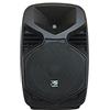 Sinextesis Cassa acustica amplificata con lettore Mp3 da USB /SD Card 110W
