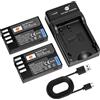 DSTE D-Li109 Batteria (2 pezzi) e Caricatore Compatibile con Pentax K-R K-30 K-50 K-500 K-2 K-S2 K-S1