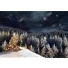 Aoihrraan 1,5x1m Inverno Foresta Sfondo Nevaio Pino Abete Innevato Nevicando Cielo Stellato Scenario Notturno Fondali Fotografia Festa Natale Bambini Adolescenti Adulti Ritratto Puntelli Vinile