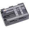 DSTE NP-FM500H Batteria Compatibile con Sony A57 A58 A65 A77 A100 A200 A300 A350 A450 A500 A550 A560 A580 A700 A850 A900