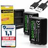 PATONA Set Caricabatterie Dual USB-C + 2x NP-FW50 Premium, 1100mAh | Compatibile con Sony Alpha 7 7R 7II 7S A5000 A6000 A6300 A6400 A6500 ZV-E10 DSC RX10 Mark II III IV RX1R III DSC-RX1RM3