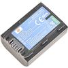 DSTE NP-FH50 Batteria di ricambio per Sony DSC-HX1 DSC-HX100V DSC-HX200V HDR-TG5V HDR-TG1E HDR-TG3 HDR-TG5 HDR-TG7