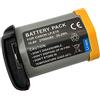 XITAIAN 10.8V 2700mAh 29.2Wh LP-E19 Batteria di Ricambio per Canon EOS 1DX, 1DX MARK 2, EOS 1D Mark III, 1Ds Mark III, EOS 1D Mark IV, 1D Mark4, EOS 1Ds Mark IV, EOS-1D C, 1D, 1Ds