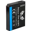 SK Games SK - Batteria di ricambio per Panasonic DMW-BCM13/DMW-BCM13E, 1200 mAh, per Panasonic Lumix DMC-FT5 TZ40 TZ41 TZ56 TZ58 TZ61 TZ71 ZS30 DMW BCM13 BCM13E