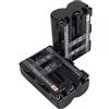 DSTE Confezione da 2 batterie di ricambio NP-FM500H DSTE compatibili con Sony Alpha SLT-A57, SLT-A58, SLT-A65, SLT-A65V, SLT-A68, SLT-A77, SLT-A99, CLM-V55, npf