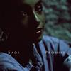 Sade - Promise - Vinile (gatefold - new edition)