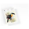 The Pepin Press Note pads A5 - Tropical Birds: Writing Paper & Note Pad A5