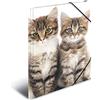 HERMA 7138 - Cartellina portadocumenti, formato DIN A4, in plastica resistente, con alette interne stampate ed elastico, per bambini, ragazzi e ragazze, motivo: gatti