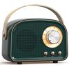 OEM Altoparlante Bluetooth wireless con radio FM - Design classico - Altoparlante wireless Bluetooth 5.0 per un suono cristallino - Ideale per interni ed esterni - Verde scuro