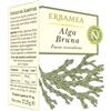 ERBAMEA Srl Alga bruna 50opr erbamea - - 922373636