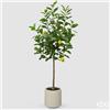 Enzo De Gasperi EDG Enzo De Gasperi Pianta Artificiale Limone Vogue con Vaso H160 cm