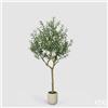 Enzo De Gasperi EDG Enzo De Gasperi Pianta Artificiale Olivo Vouge con Vaso H210 cm