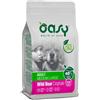 OASY *OASY ONE ANIMAL PROTEIN CANE ADULT MEDIUM E LARGE CON CINGHIALE 12KG