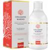 OPTIMA NATURALS SRL Collagene Marino Idrolizzato Liquido Pronto Da Bere 500 Ml