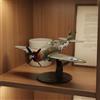 Modellino Caccia Aereo da Caccia Storico Scala 1/72 Pre-Costruito